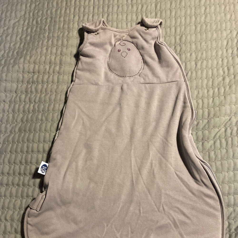 Nested Bean Winter Sleep Sack, Twilight